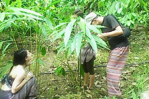 桑雷欧斯派斯度假屋 蒙纳 外观 照片